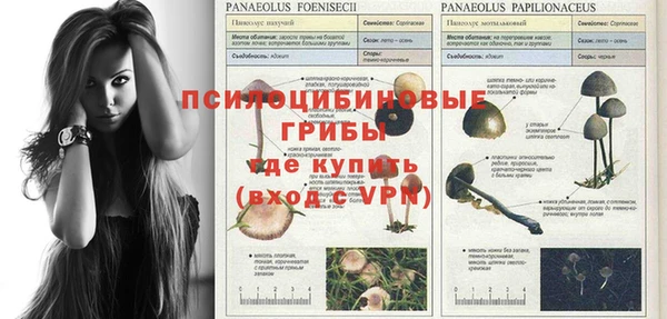 не бодяженный Баксан