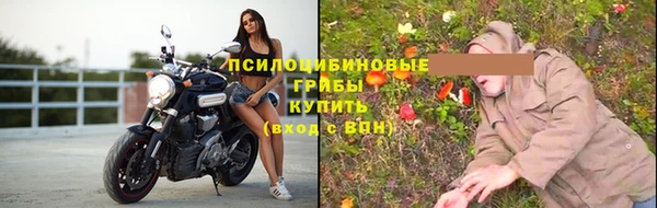 гидропоника Балабаново